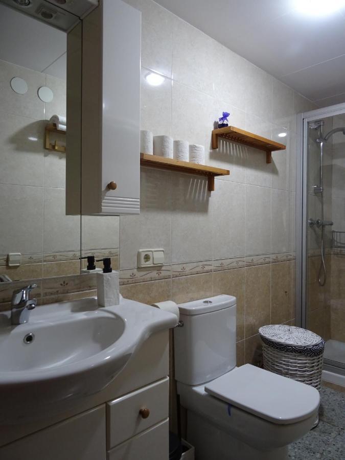Apartament Pis Acollidor Amb Llar De Foc, Al Centre Camprodon Zewnętrze zdjęcie