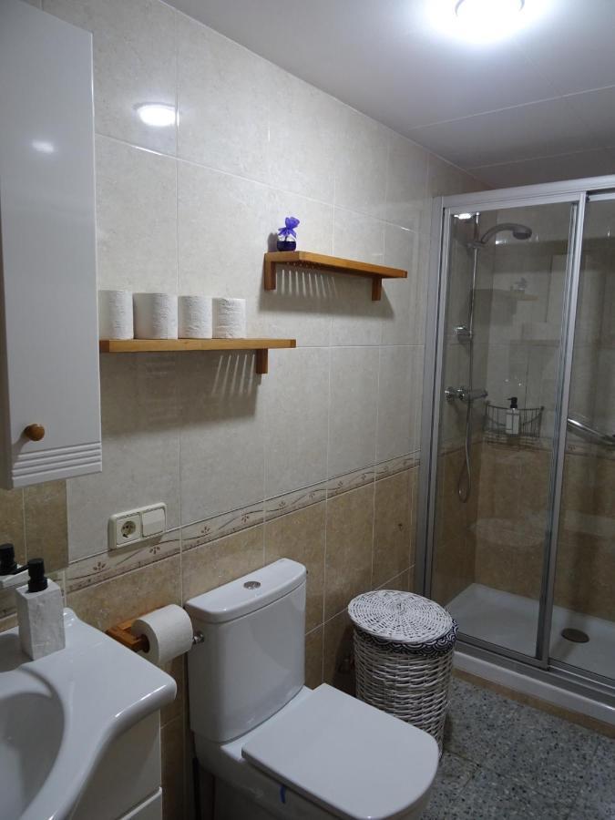 Apartament Pis Acollidor Amb Llar De Foc, Al Centre Camprodon Zewnętrze zdjęcie
